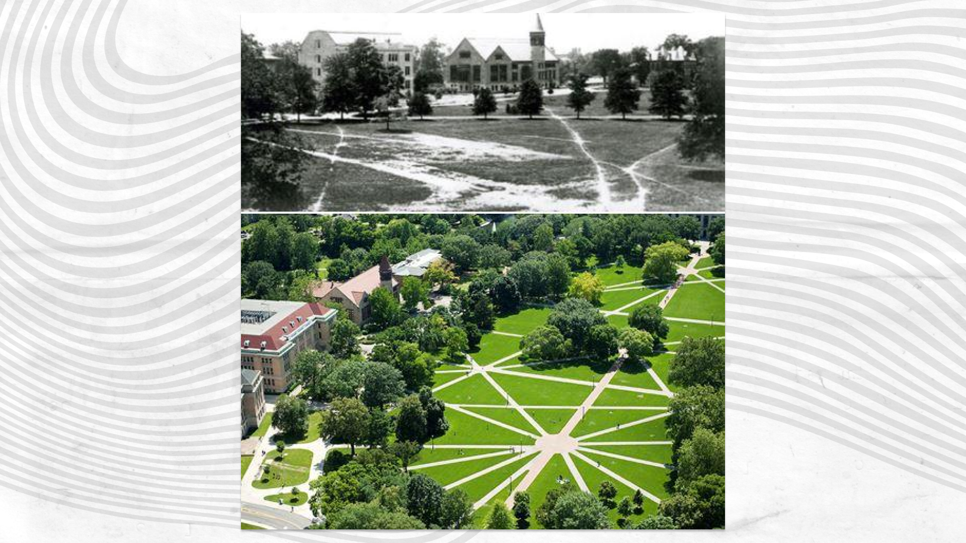 Ohio State University let students reveal where they wanted paths before paving them.